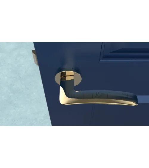 ROBINE polished gold door handle design handle
