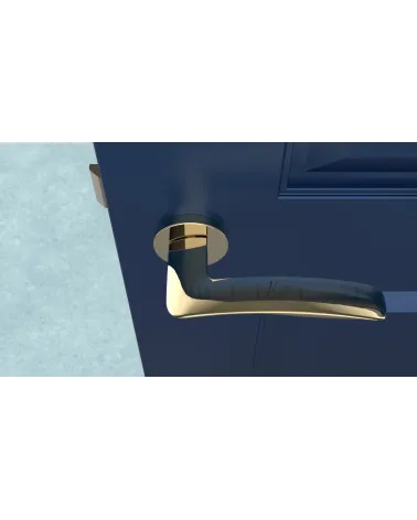 ROBINE door handle design handle top view mounted on a door