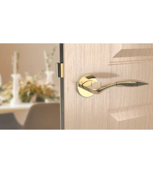 ROBINE satin chrome door handle designer hardware