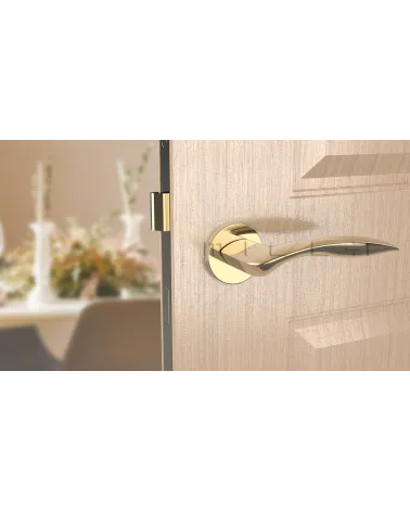 ROBINE door handle design hardware colour 2 front view mounted on a door