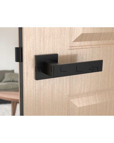 Black Apollo design door handle front view mounted on a door