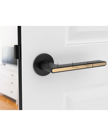 Ferrara modern round Zamak door handle