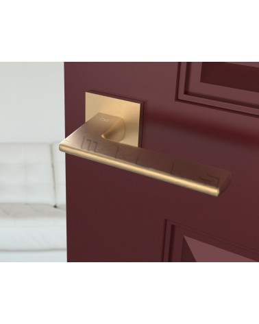 Matte gold Shark door handles