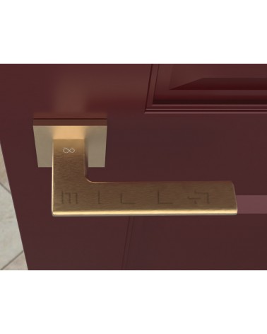 Matte gold Shark door handles