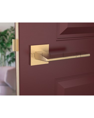 Matte gold Shark door handles