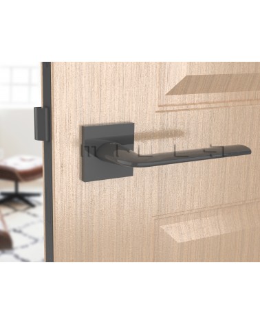 Titanium STINGER door handle designer handle front view mounted on a door