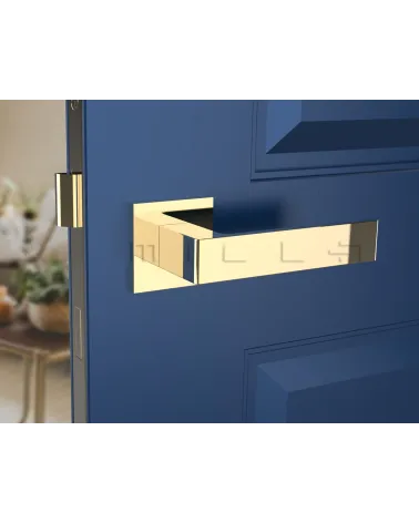 Polished gold Apollo door handle designer handle front view mounted on a door