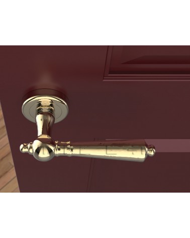 Polished gold MILLENAIRE door handle design handle top view mounted on a door