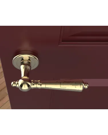 Polished gold MILLENAIRE door handle design handle top view mounted on a door