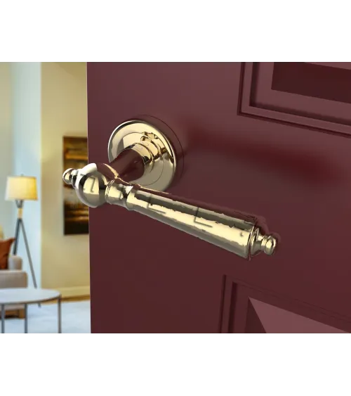 MILLENAIRE polished gold door handle design handle
