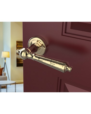Polished gold MILLENAIRE door handle design handle angled view mounted on a door