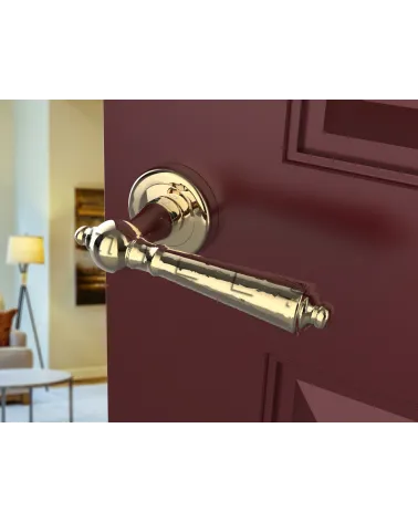 Polished gold MILLENAIRE door handle design handle angled view mounted on a door
