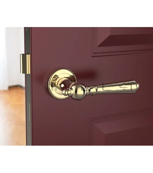 MILLENAIRE polished gold door handle design handle
