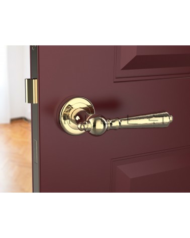 Polished gold MILLENAIRE door handle design handle front view mounted on a door