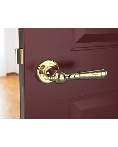 Polished gold MILLENAIRE door handle design handle front view mounted on a door