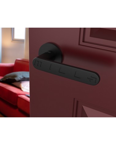 Black Line Venus door handle designer handle mounted on an ajar door