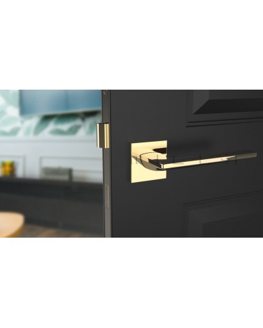 LUNARIA square plate door handle design handle colour 3 front view mounted on a door