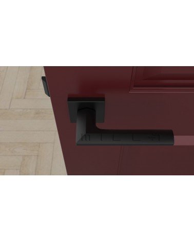JASMINA square plate door handle design handle colour 2 top view mounted on a door