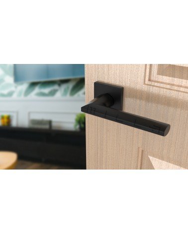 JASMINA square plate door handle design handle colour 2 angled top view mounted on a door