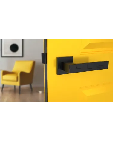 PINA square plate door handle design handle colour 2 front view mounted on a door