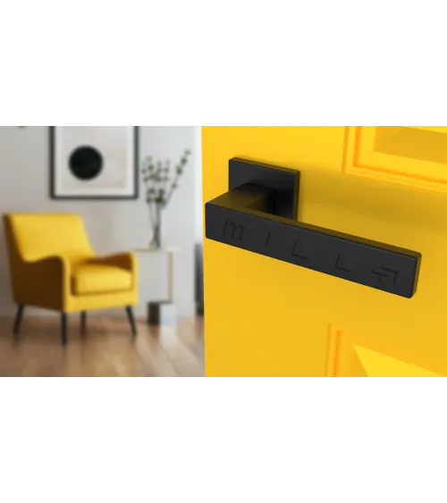 PINA square plate door handle design handle colour 2