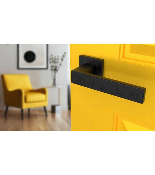 PINA square plate door handle design handle colour 2