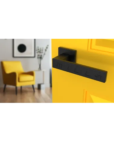 PINA square plate door handle design handle colour 2 angled top view mounted on a door
