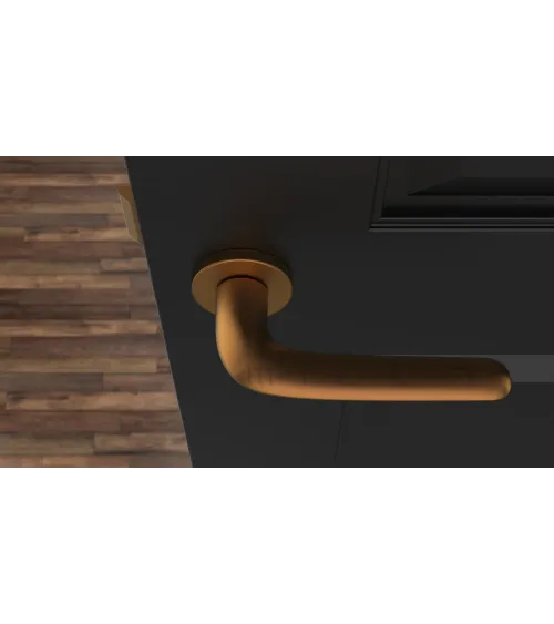 AZALIA round plate door handle design handle colour 4