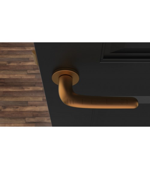 AZALIA round plate door handle design handle colour 4