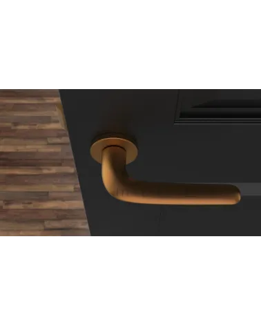 AZALIA round plate door handle design handle colour 4 top view mounted on a door