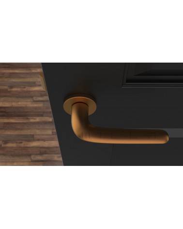 AZALIA round plate door handle design handle colour 4 top view mounted on a door