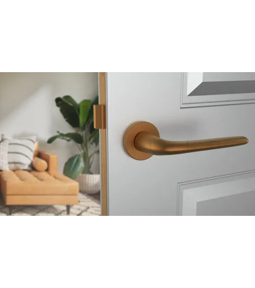 AZALIA round plate door handle design handle colour 4