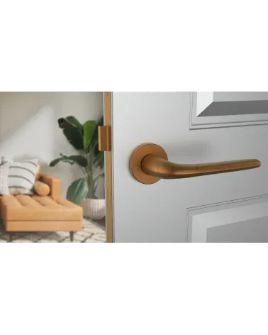 AZALIA round plate door handle design handle colour 4 front view mounted on a door