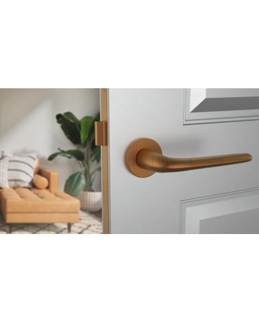 AZALIA round plate door handle design handle colour 4 front view mounted on a door