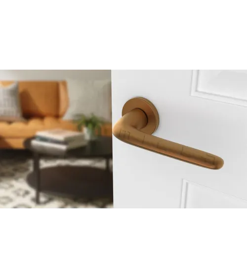 AZALIA round plate door handle design handle colour 4