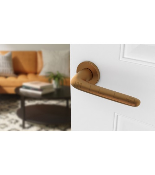 AZALIA round plate door handle design handle colour 4