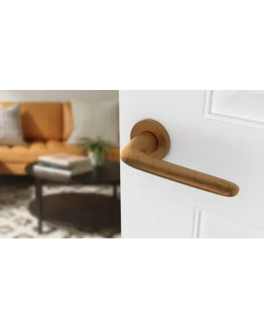 AZALIA round plate door handle design handle colour 4 angled top view mounted on a door