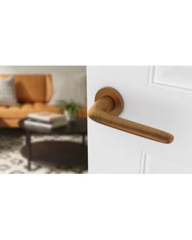 AZALIA round plate door handle design handle colour 4 angled top view mounted on a door