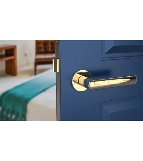 SILENA round plate door handle designer handle colour 3