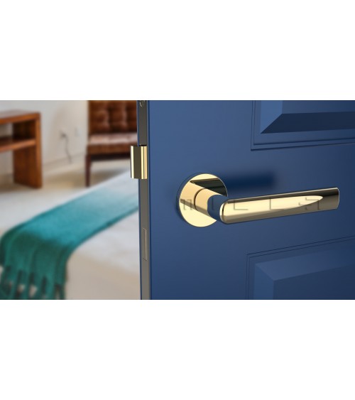SILENA round plate door handle designer handle colour 3