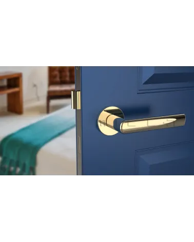 SILENA round plate door handle designer handle colour 3 top view mounted on a door