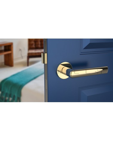 SILENA round plate door handle designer handle colour 3 top view mounted on a door