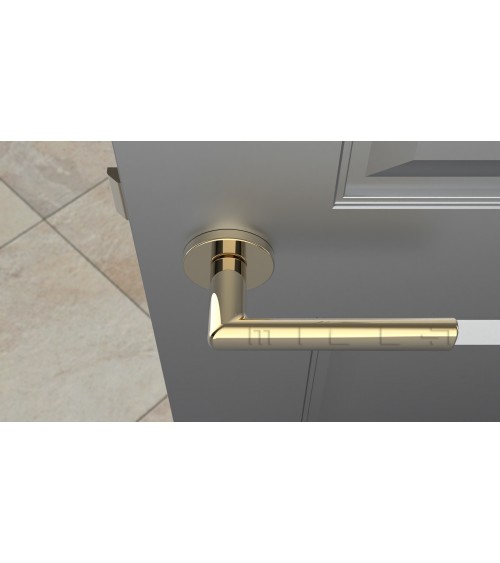 SILENA round plate door handle designer handle colour 3