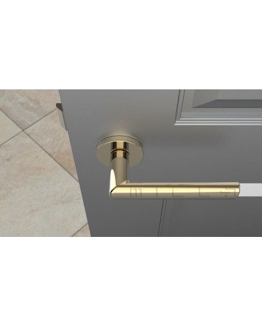 SILENA round plate door handle designer handle colour 3 angled top view mounted on a door