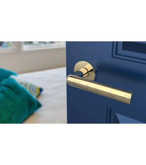 SILENA round plate door handle designer handle colour 3