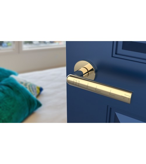 SILENA round plate door handle designer handle colour 3