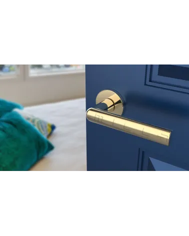 SILENA round plate door handle designer handle colour 3 front view mounted on a door
