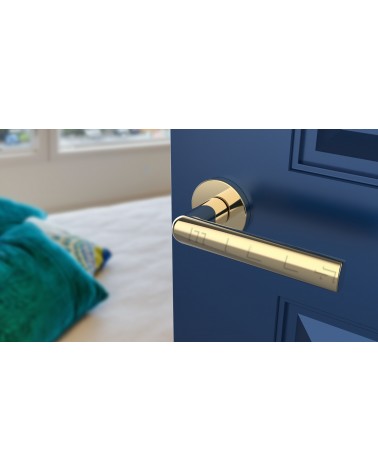 SILENA round plate door handle designer handle colour 3 front view mounted on a door
