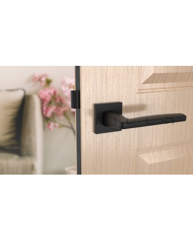 ERBA square plate door handle design handle front view mounted on a door