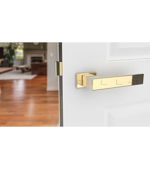 PINA rectangular plate door handle design handle colour 3